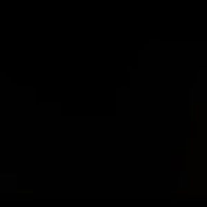 Meet your Posher, Luda